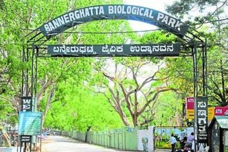Bannerghatta National Park