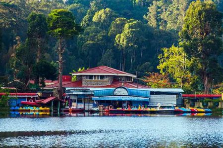 Kodaikanal, Tamil Nadu