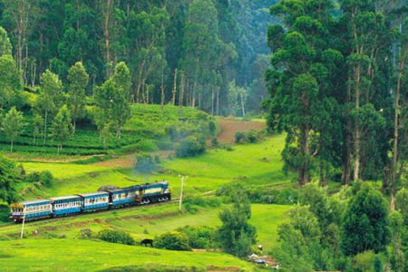 Ooty, Tamil Nadu